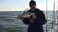 SteveHs first one